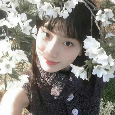 哈莉·奎茵第五季