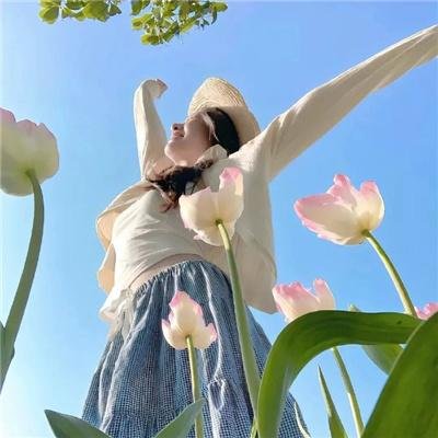 蔬菜海盗历险记